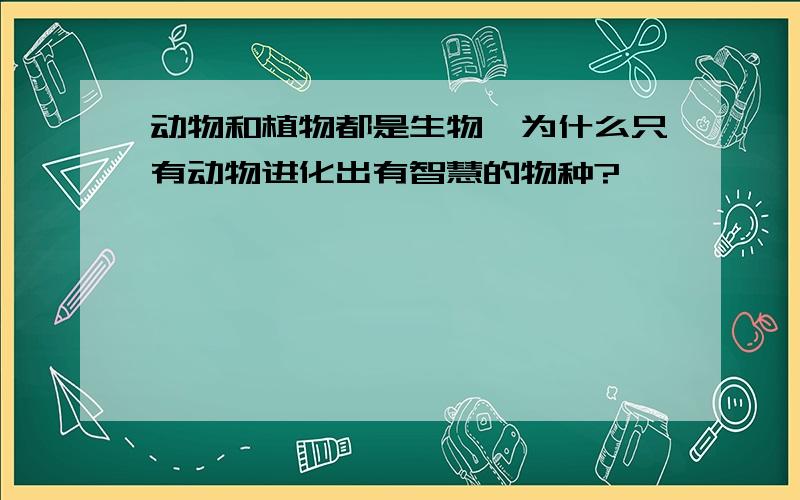 动物和植物都是生物,为什么只有动物进化出有智慧的物种?