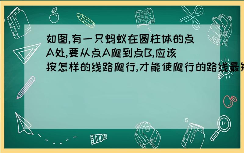 如图,有一只蚂蚁在圆柱体的点A处,要从点A爬到点B,应该按怎样的线路爬行,才能使爬行的路线最短?画出草图,请说明理由.A点在圆柱的左上角,B点在圆柱的右下角.要图!