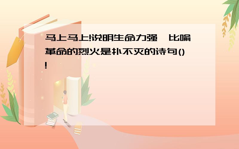 马上马上!说明生命力强,比喻革命的烈火是扑不灭的诗句()!