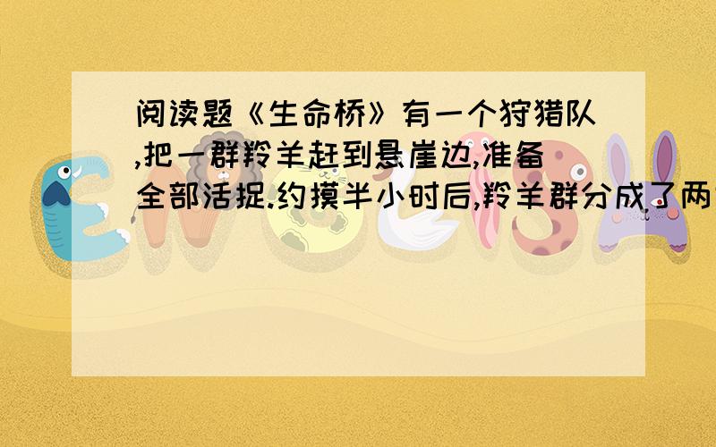 阅读题《生命桥》有一个狩猎队,把一群羚羊赶到悬崖边,准备全部活捉.约摸半小时后,羚羊群分成了两类：老羚羊为一类,年轻羚羊为一类.一只老羚羊走出来,朝年轻羚羊群叫了一声.一只年轻