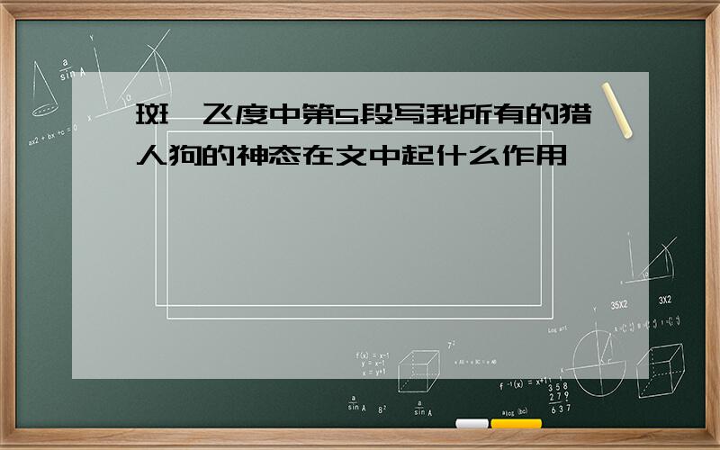 斑羚飞度中第5段写我所有的猎人狗的神态在文中起什么作用