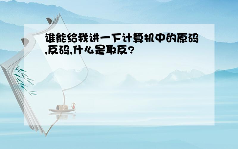 谁能给我讲一下计算机中的原码,反码,什么是取反?