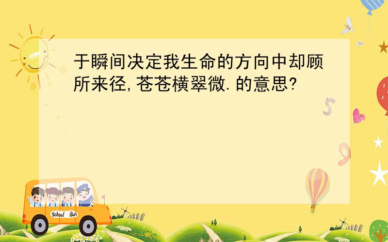 于瞬间决定我生命的方向中却顾所来径,苍苍横翠微.的意思?