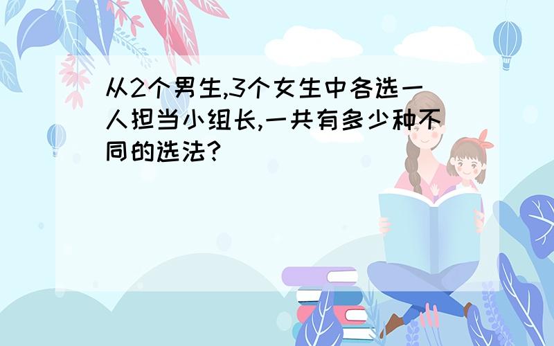 从2个男生,3个女生中各选一人担当小组长,一共有多少种不同的选法?