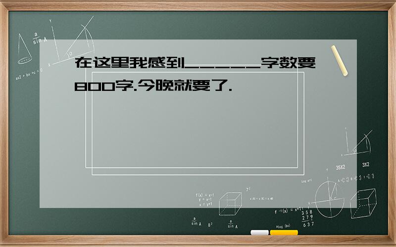 在这里我感到_____字数要800字.今晚就要了.