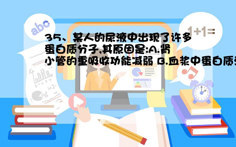 35、某人的尿液中出现了许多蛋白质分子,其原因是:A.肾小管的重吸收功能减弱 B.血浆中蛋白质浓度过大C.肾小球通透性增大 D.肾小管的分泌功能受到破坏 偶觉得其他也有可能,