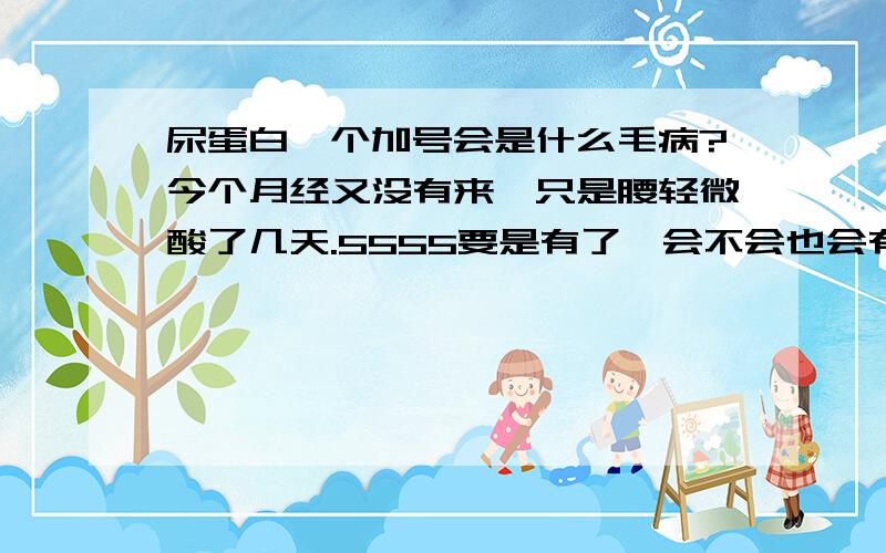 尿蛋白一个加号会是什么毛病?今个月经又没有来,只是腰轻微酸了几天.5555要是有了,会不会也会有一个加的?