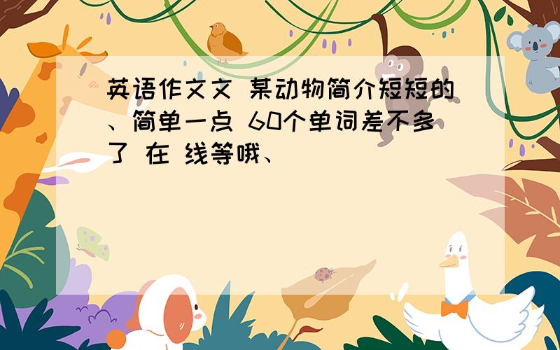 英语作文文 某动物简介短短的、简单一点 60个单词差不多了 在 线等哦、