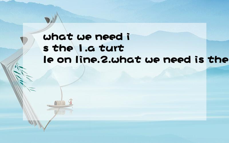 what we need is the 1.a turtle on line.2.what we need is the end.白痴得问问这两句啥意思,麻烦准确点,