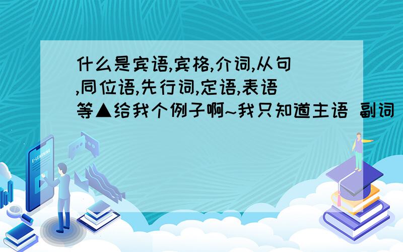 什么是宾语,宾格,介词,从句,同位语,先行词,定语,表语等▲给我个例子啊~我只知道主语 副词 其他的一概不知.