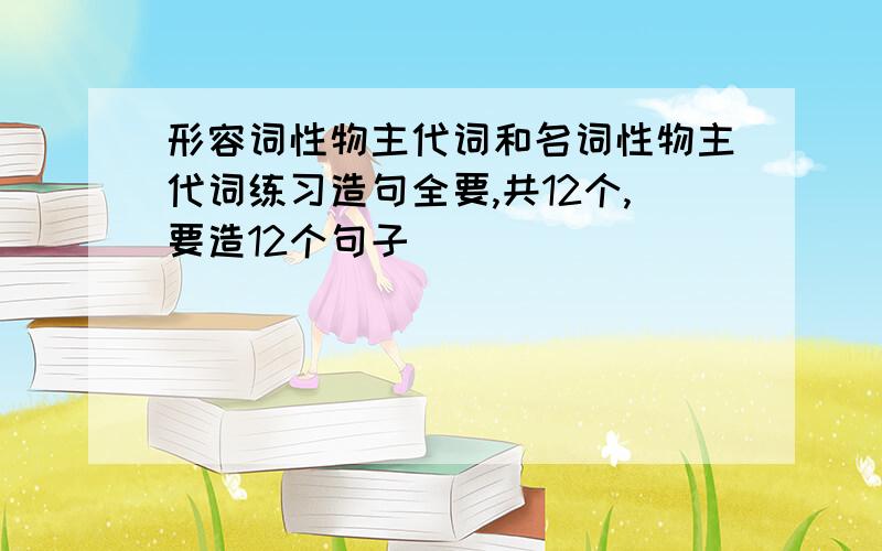 形容词性物主代词和名词性物主代词练习造句全要,共12个,要造12个句子