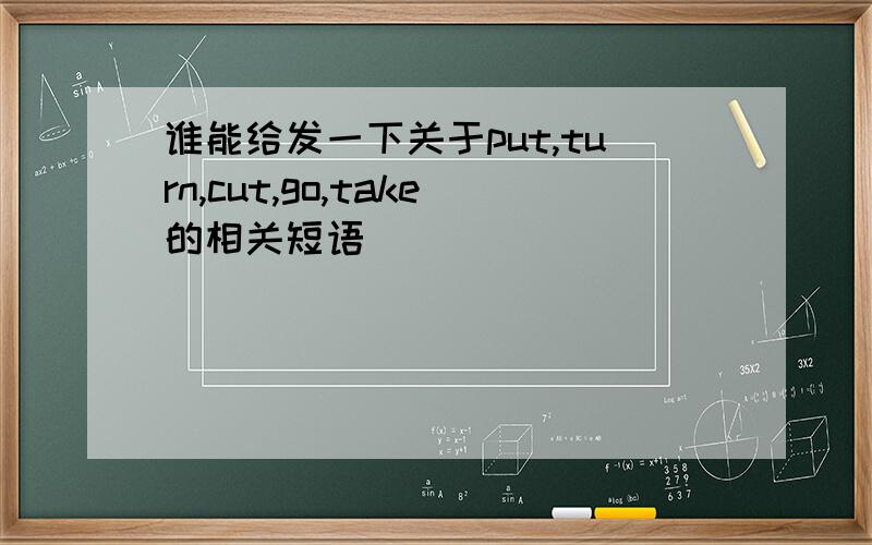 谁能给发一下关于put,turn,cut,go,take的相关短语