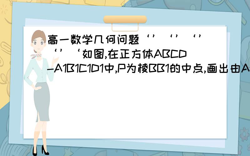 高一数学几何问题‘’‘’‘’‘’‘如图,在正方体ABCD-A1B1C1D1中,P为棱BB1的中点,画出由A1,C1,P三点所确定的平面与正方体表面的交线