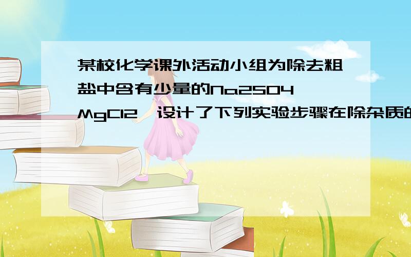 某校化学课外活动小组为除去粗盐中含有少量的Na2SO4、MgCl2,设计了下列实验步骤在除杂质的实验操作中,为了将溶液中的杂质完全除去,通常需加入过量的除杂质试剂.某校化学课外活动小组为