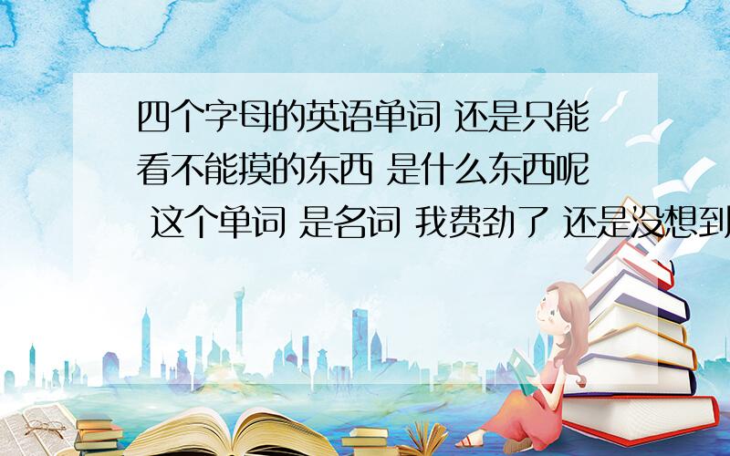 四个字母的英语单词 还是只能看不能摸的东西 是什么东西呢 这个单词 是名词 我费劲了 还是没想到 要是下面的人答对了