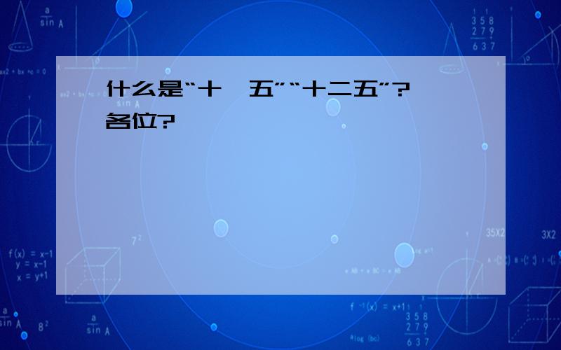 什么是“十一五”“十二五”?各位?