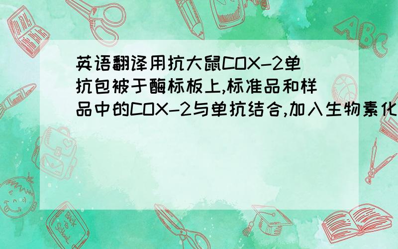 英语翻译用抗大鼠COX-2单抗包被于酶标板上,标准品和样品中的COX-2与单抗结合,加入生物素化的抗大鼠COX-2,形成免疫复合物连接在板上,辣根过氧化物酶标记的Streptavidin与生物素结合,加入底物