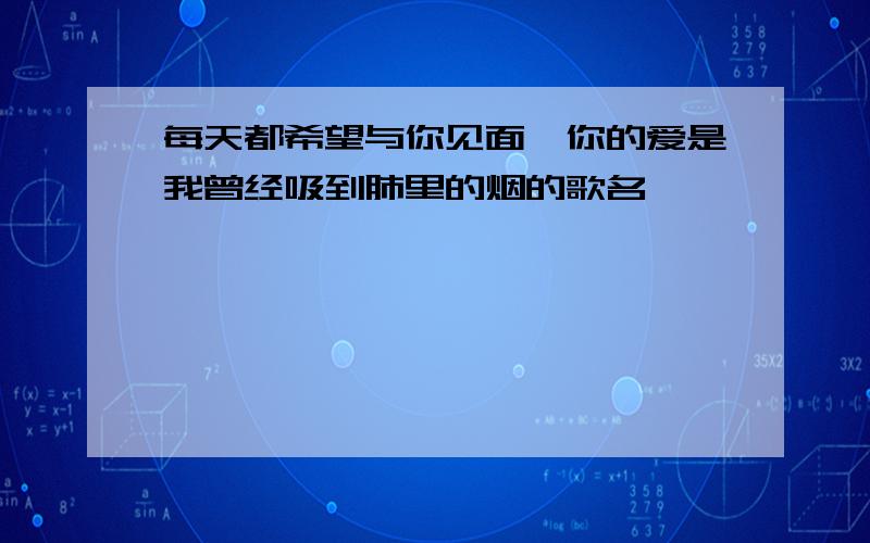 每天都希望与你见面,你的爱是我曾经吸到肺里的烟的歌名