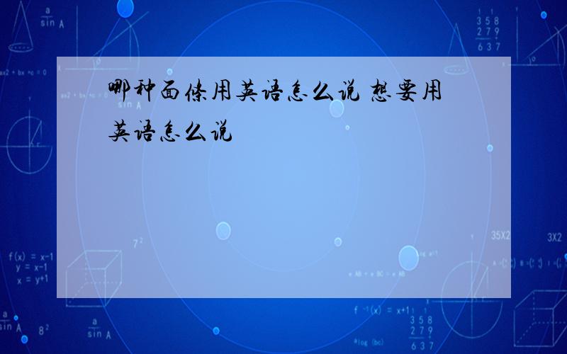 哪种面条用英语怎么说 想要用英语怎么说