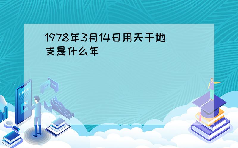 1978年3月14日用天干地支是什么年