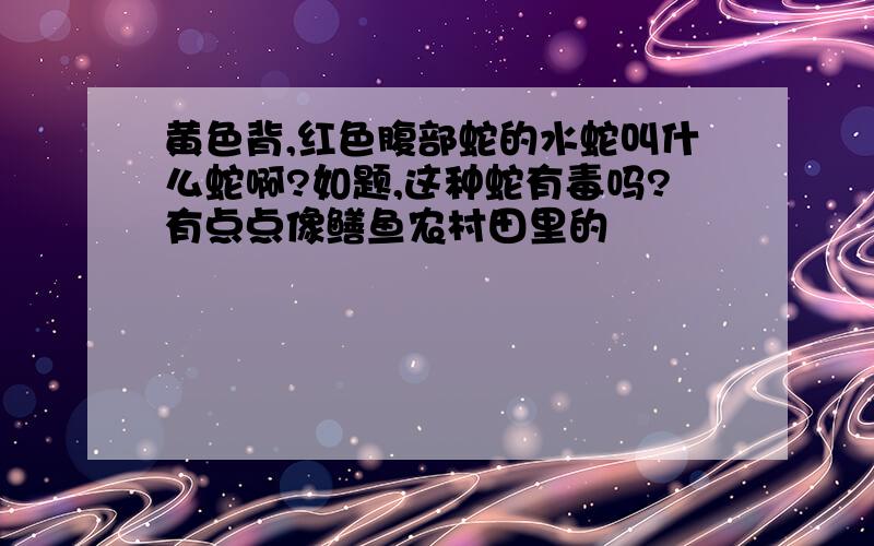 黄色背,红色腹部蛇的水蛇叫什么蛇啊?如题,这种蛇有毒吗?有点点像鳝鱼农村田里的