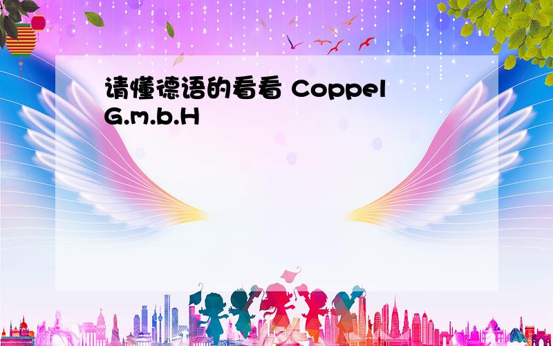 请懂德语的看看 CoppelG.m.b.H