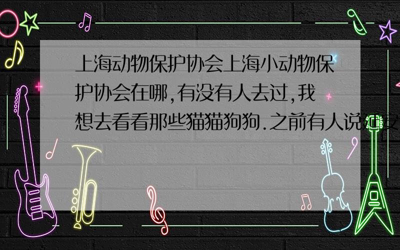 上海动物保护协会上海小动物保护协会在哪,有没有人去过,我想去看看那些猫猫狗狗.之前有人说延安西路那个地址然后我听说好像搬了什么的有没有人去看过啊?