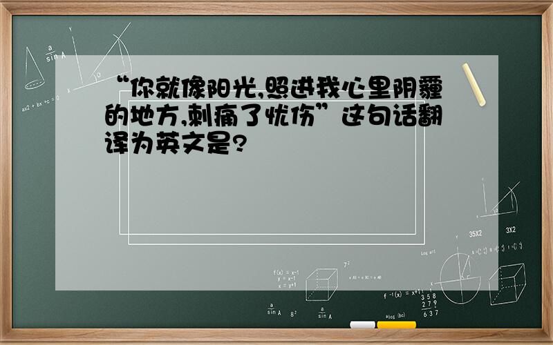 “你就像阳光,照进我心里阴霾的地方,刺痛了忧伤”这句话翻译为英文是?