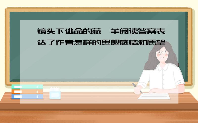 镜头下逃命的藏羚羊阅读答案表达了作者怎样的思想感情和愿望