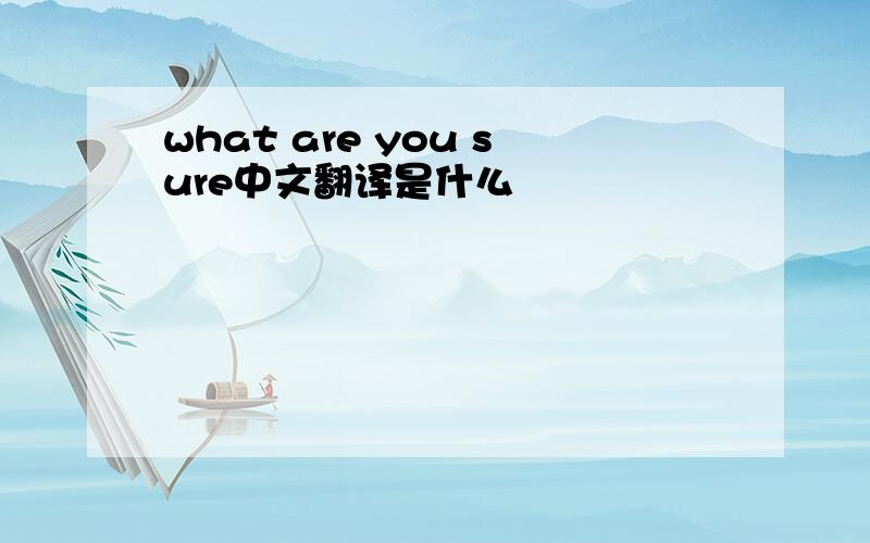 what are you sure中文翻译是什么