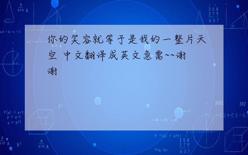 你的笑容就等于是我的一整片天空 中文翻译成英文急需~~谢谢