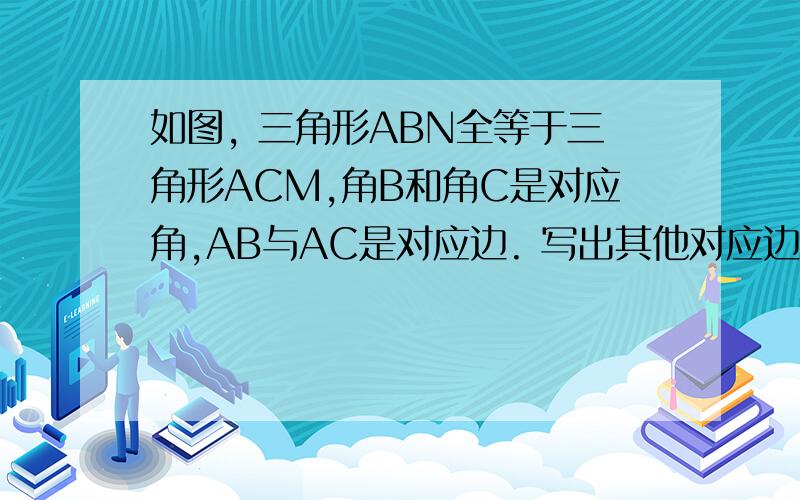 如图, 三角形ABN全等于三角形ACM,角B和角C是对应角,AB与AC是对应边. 写出其他对应边及对应角.