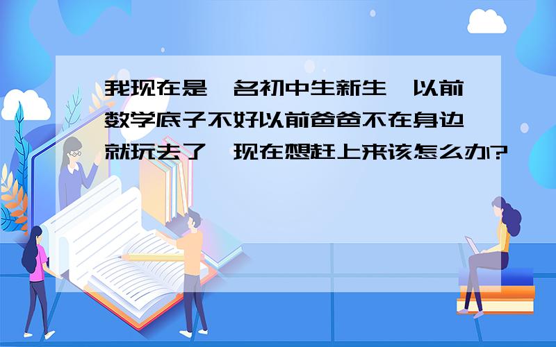 我现在是一名初中生新生,以前数学底子不好以前爸爸不在身边就玩去了,现在想赶上来该怎么办?