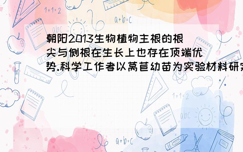 朝阳2013生物植物主根的根尖与侧根在生长上也存在顶端优势.科学工作者以莴苣幼苗为实验材料研究不同浓度生长素类似物NAA、IBA、2,4—D对侧根形成的影响,相关叙述正确的是A．该实验中各