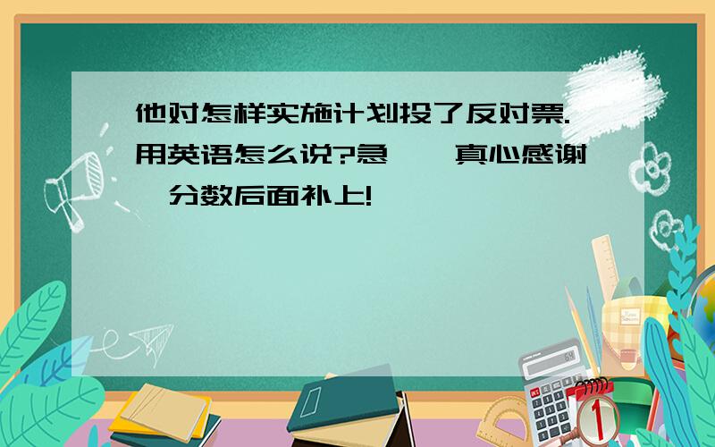 他对怎样实施计划投了反对票.用英语怎么说?急……真心感谢,分数后面补上!