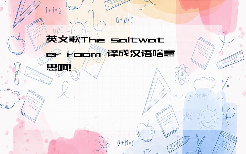 英文歌The saltwater room 译成汉语啥意思啊!