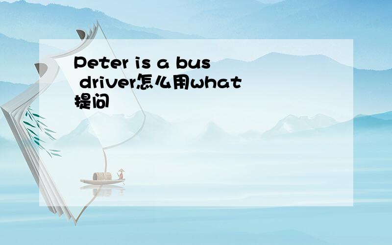 Peter is a bus driver怎么用what提问