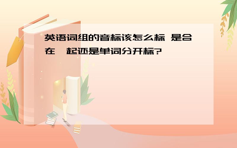 英语词组的音标该怎么标 是合在一起还是单词分开标?