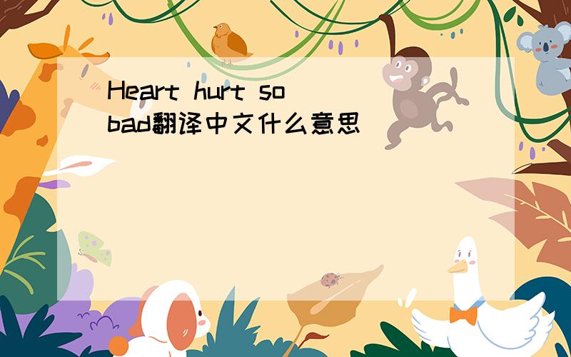 Heart hurt so bad翻译中文什么意思