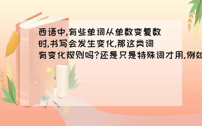 西语中,有些单词从单数变复数时,书写会发生变化,那这类词有变化规则吗?还是只是特殊词才用.例如：lápize.lápiceshabitación.habitaciones