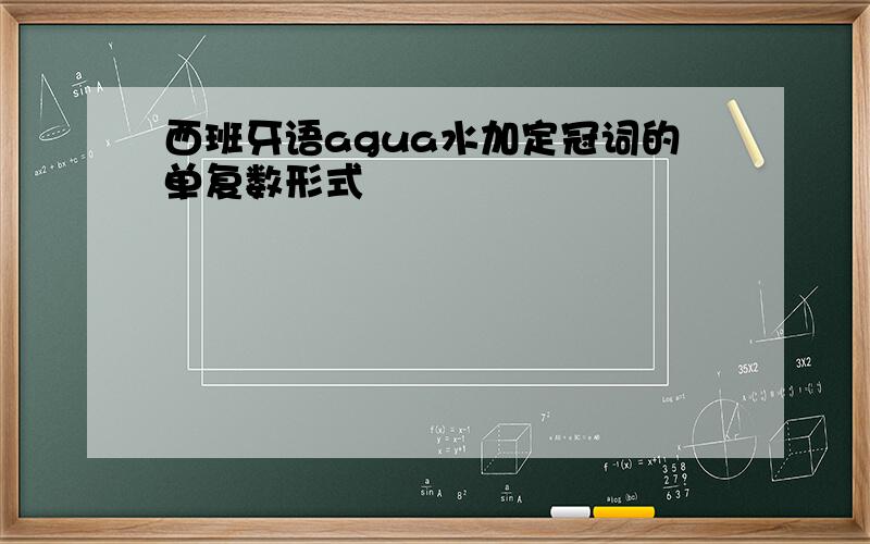 西班牙语agua水加定冠词的单复数形式