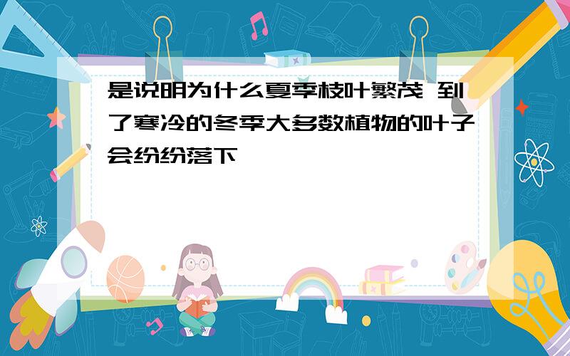 是说明为什么夏季枝叶繁茂 到了寒冷的冬季大多数植物的叶子会纷纷落下