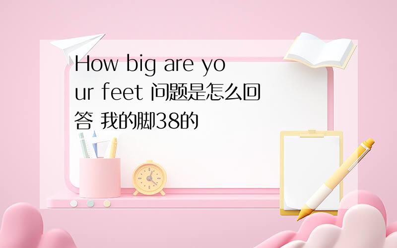How big are your feet 问题是怎么回答 我的脚38的