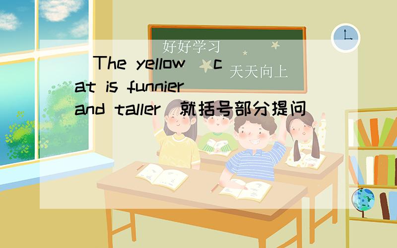（The yellow） cat is funnier and taller（就括号部分提问）