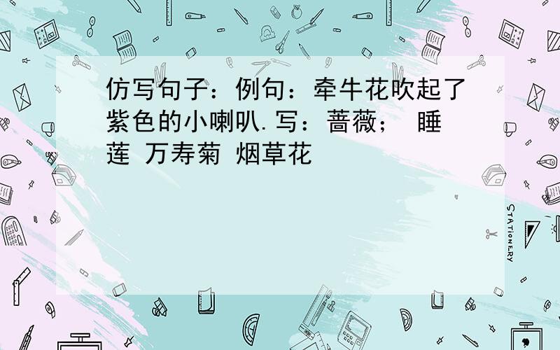 仿写句子：例句：牵牛花吹起了紫色的小喇叭.写：蔷薇； 睡莲 万寿菊 烟草花