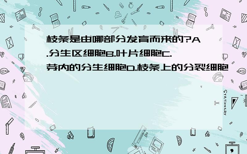 枝条是由哪部分发育而来的?A.分生区细胞B.叶片细胞C.芽内的分生细胞D.枝条上的分裂细胞