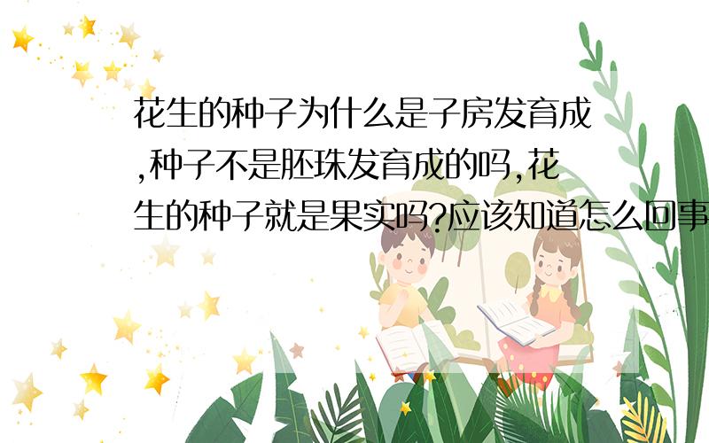 花生的种子为什么是子房发育成,种子不是胚珠发育成的吗,花生的种子就是果实吗?应该知道怎么回事,但不太明白,请说清楚,