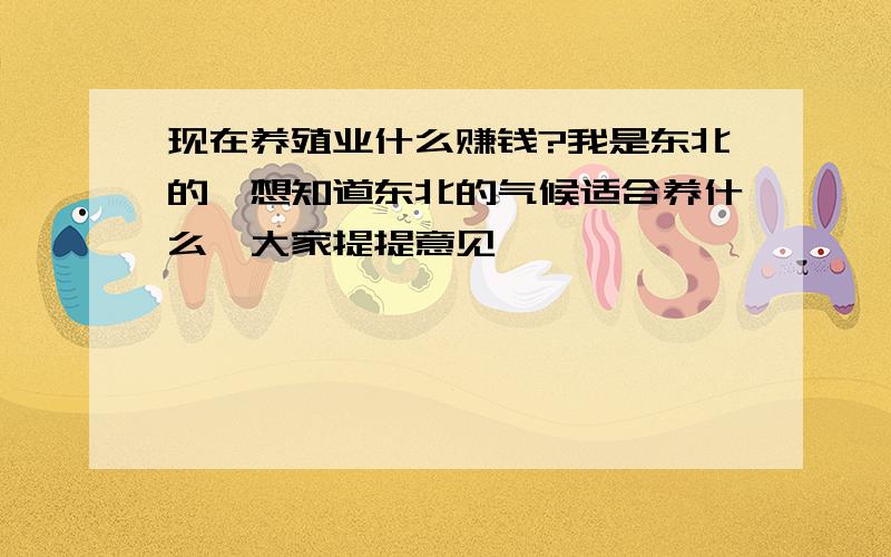 现在养殖业什么赚钱?我是东北的,想知道东北的气候适合养什么,大家提提意见