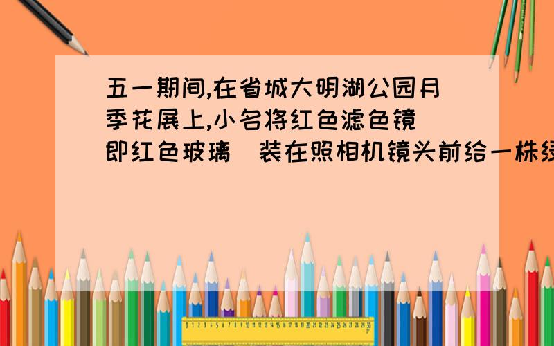 五一期间,在省城大明湖公园月季花展上,小名将红色滤色镜（即红色玻璃）装在照相机镜头前给一株绿叶黄花月季拍照,照片上该花卉的颜色是：A.绿叶黄花 B.黑叶红花 C.黑叶黑花 D.红叶红花