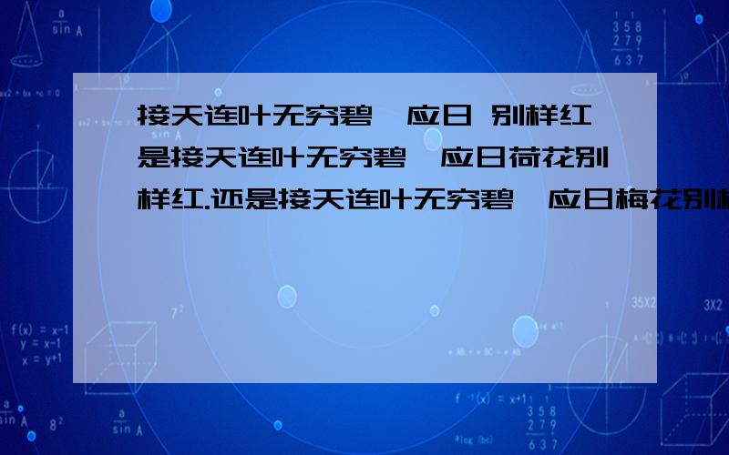 接天连叶无穷碧,应日 别样红是接天连叶无穷碧,应日荷花别样红.还是接天连叶无穷碧,应日梅花别样红.